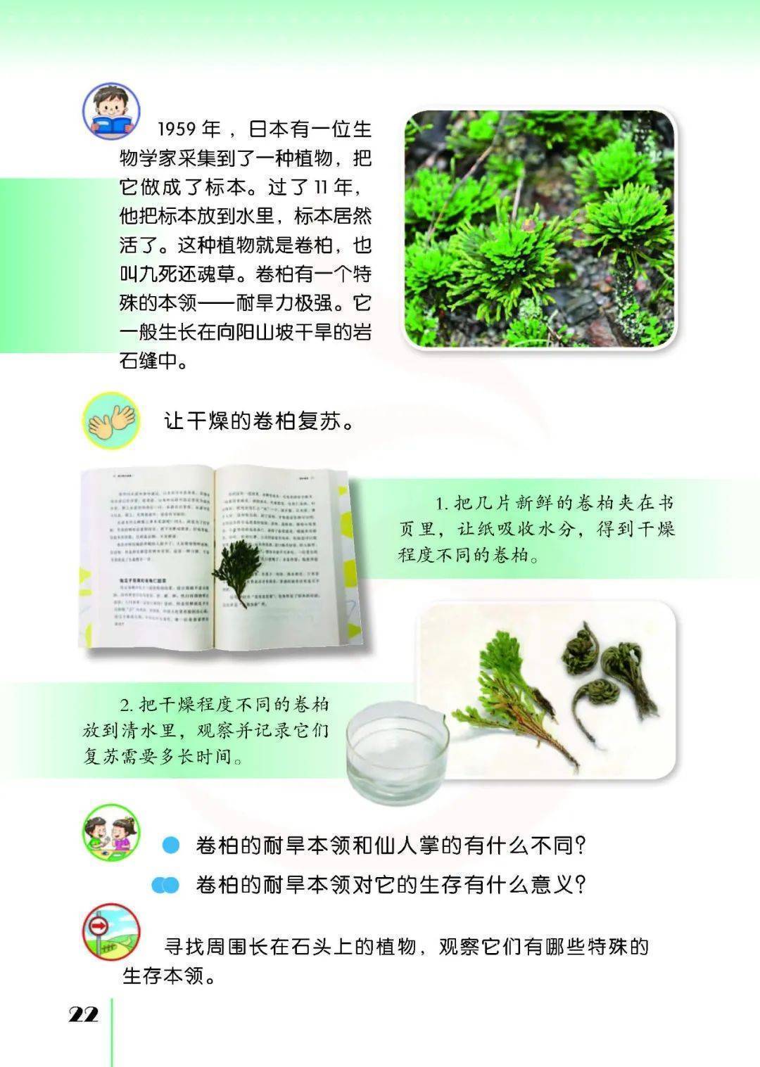 2026蘇教版五年級(jí)科學(xué)下冊(cè)電子課本(PDF高清版新教材)