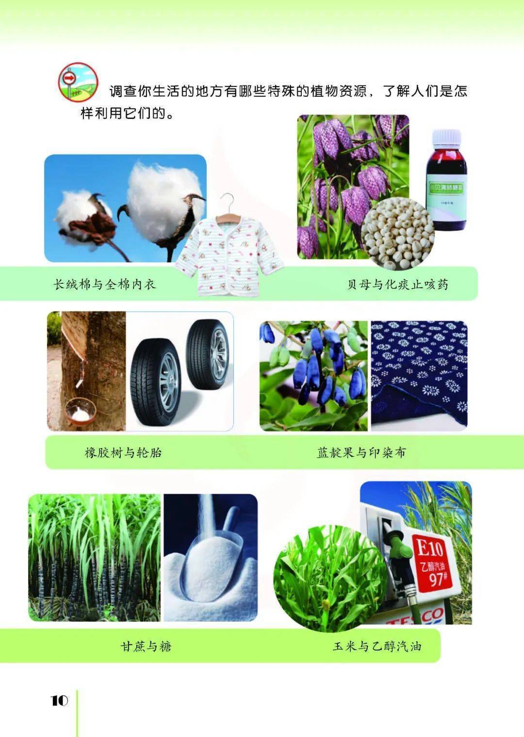 2026蘇教版五年級(jí)科學(xué)下冊(cè)電子課本(PDF高清版新教材)