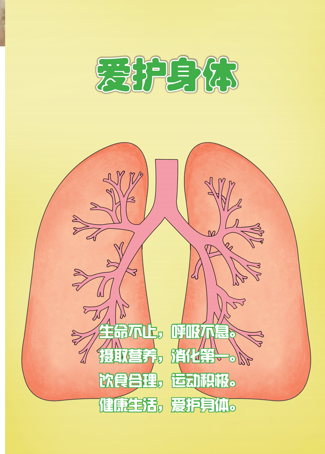 2026冀人版四年級(jí)科學(xué)下冊(cè)電子課本(PDF高清版新教材)