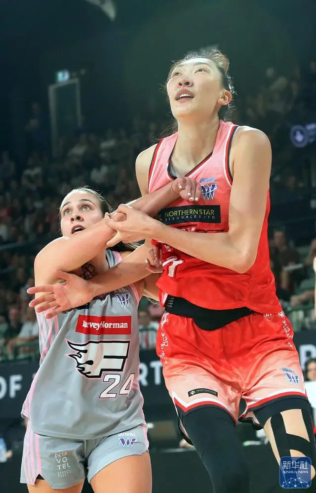 澳大利亞女籃聯(lián)賽：珀斯山貓勝悉尼大學(xué)火焰隊