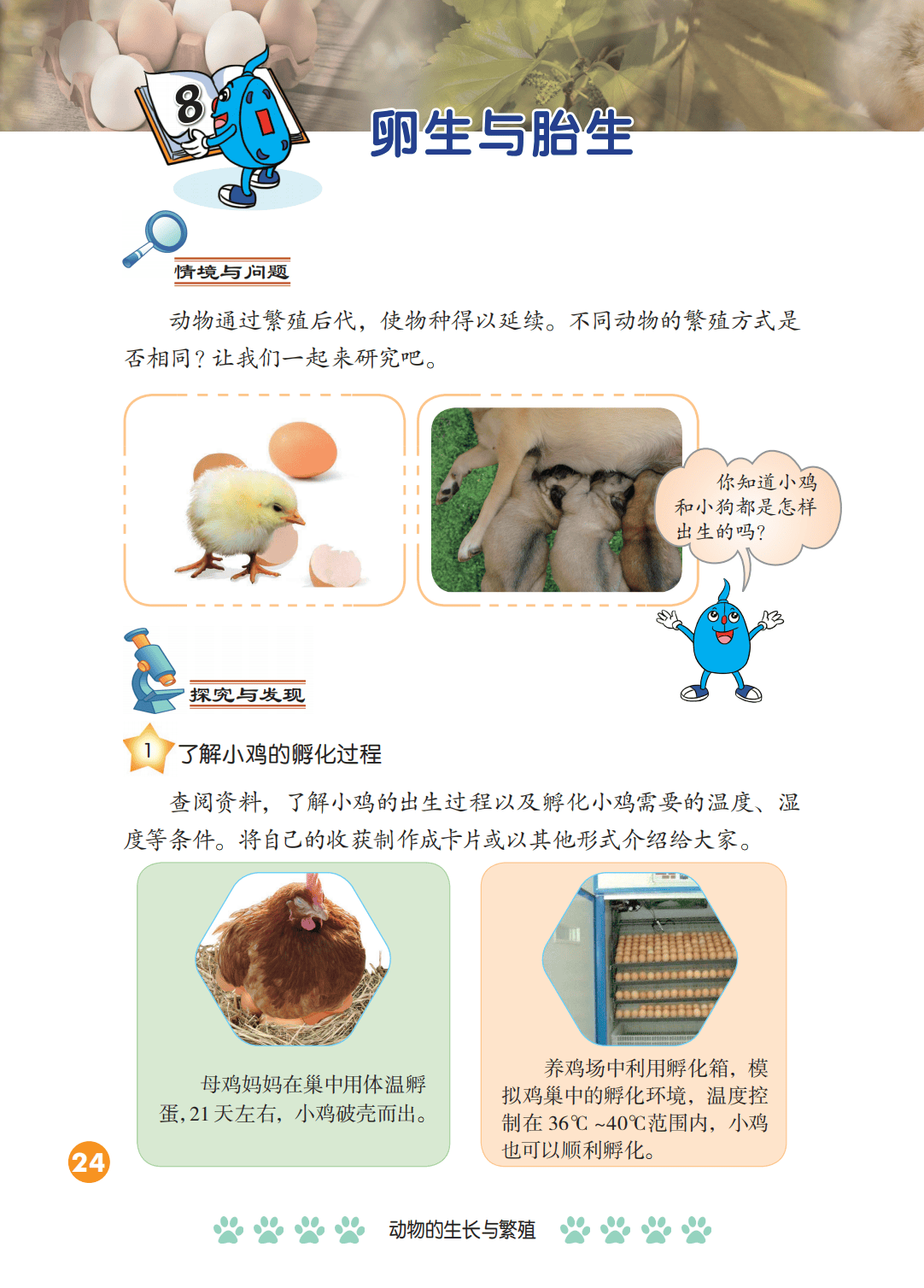 2026冀人版四年級(jí)科學(xué)下冊(cè)電子課本(PDF高清版新教材)