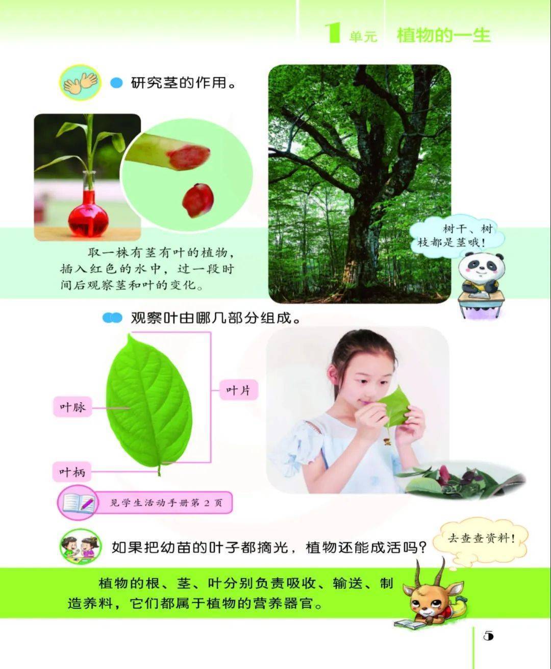 2026蘇教版五年級(jí)科學(xué)下冊(cè)電子課本(PDF高清版新教材)