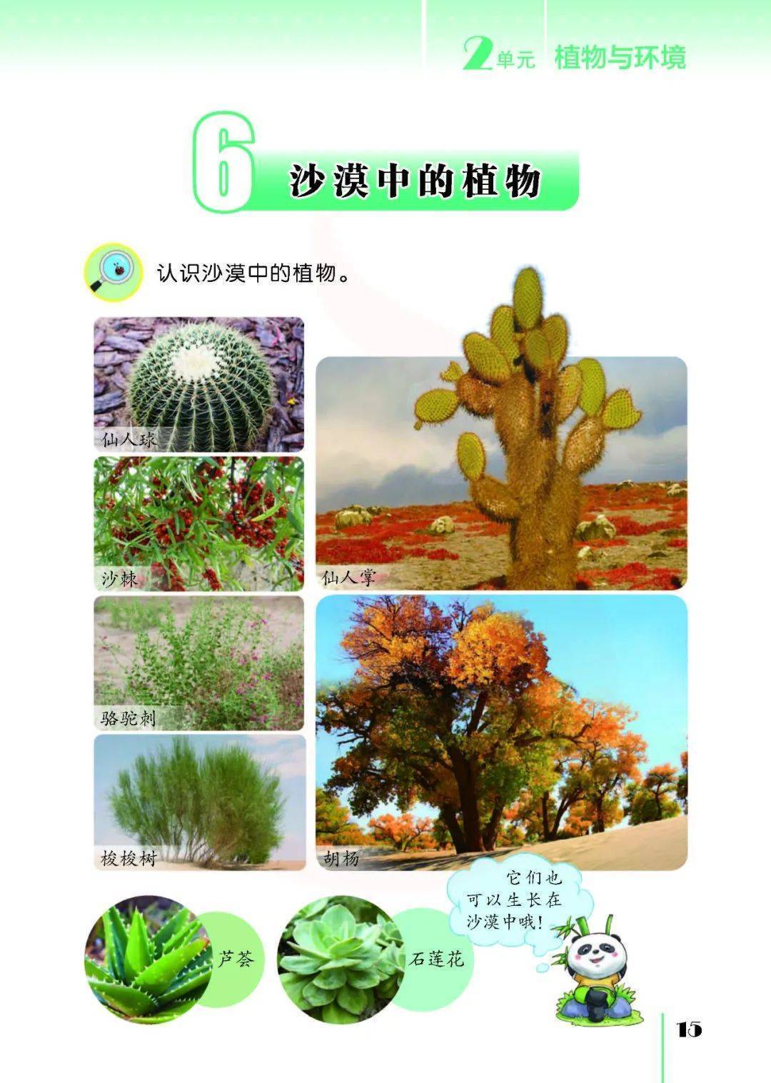 2026蘇教版五年級(jí)科學(xué)下冊(cè)電子課本(PDF高清版新教材)