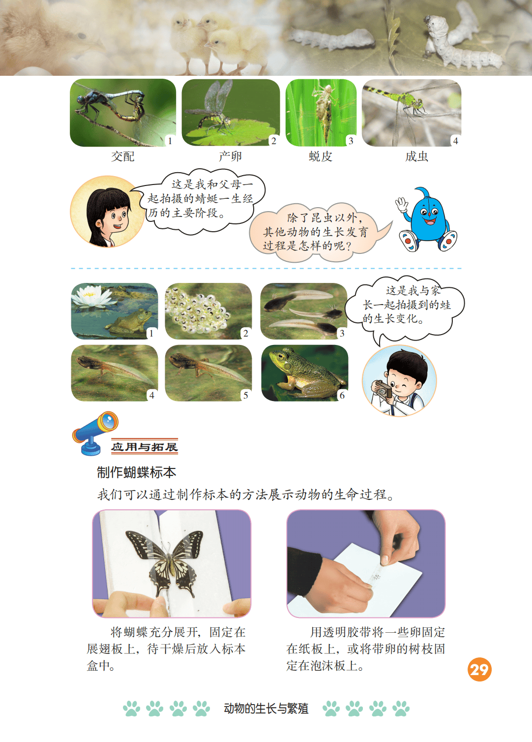 2026冀人版四年級(jí)科學(xué)下冊(cè)電子課本(PDF高清版新教材)