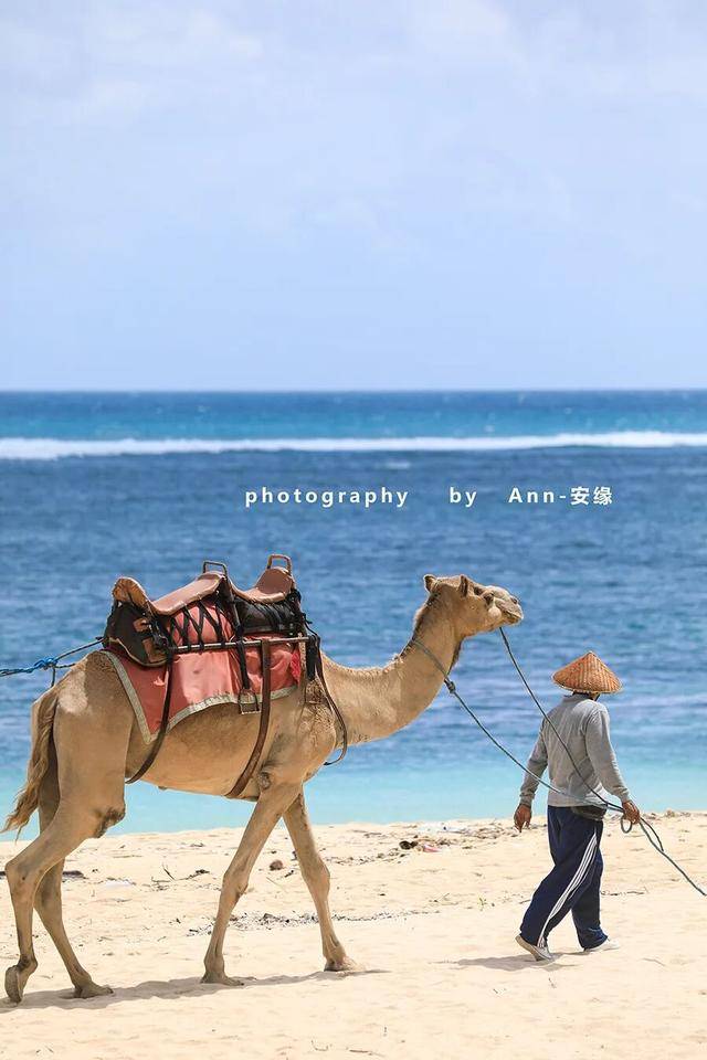 【巴厘島】：“獅王”出手，引爆“王炸美食酒店”！性價比極高！