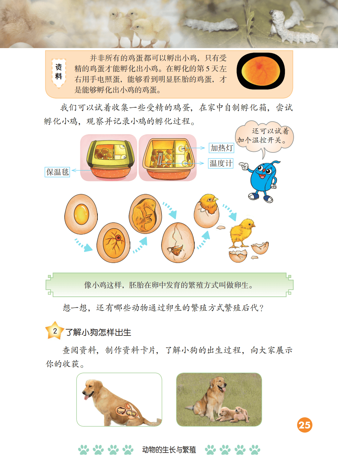 2026冀人版四年級(jí)科學(xué)下冊(cè)電子課本(PDF高清版新教材)