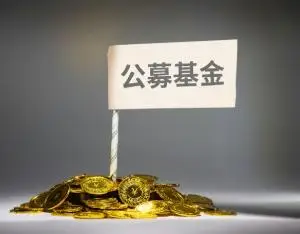 知名公募公開招聘總經(jīng)理