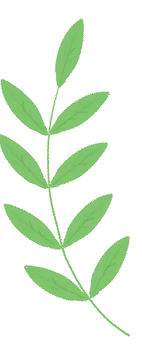 小學生英語口語 200 句｜天天練 5 分鐘，開口超自信