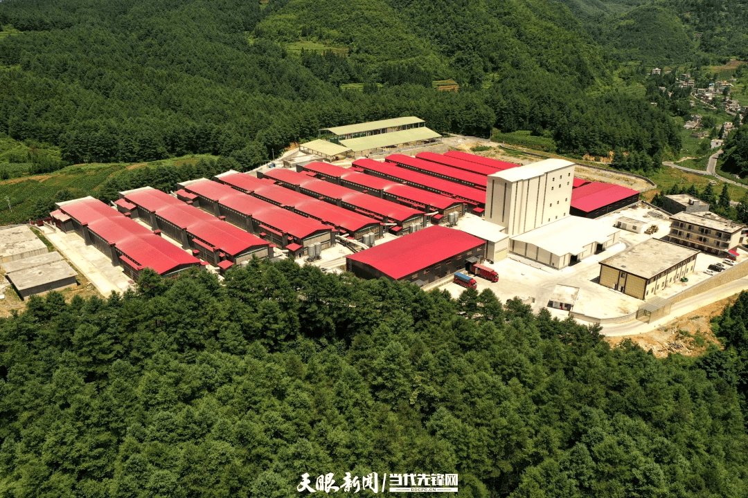 【新春走基層】從快遞站看“烏蒙土貨”俏銷大灣區(qū)