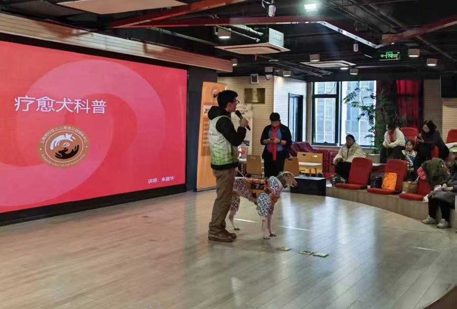 詩詞+非遺+萌寵，七寶鎮(zhèn)未保站這場迎新活動讓孩子玩中學(xué)、學(xué)中樂