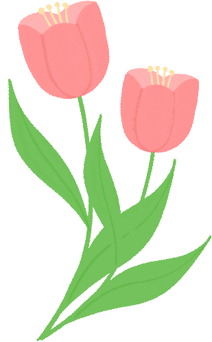 小學生英語口語 200 句｜天天練 5 分鐘，開口超自信