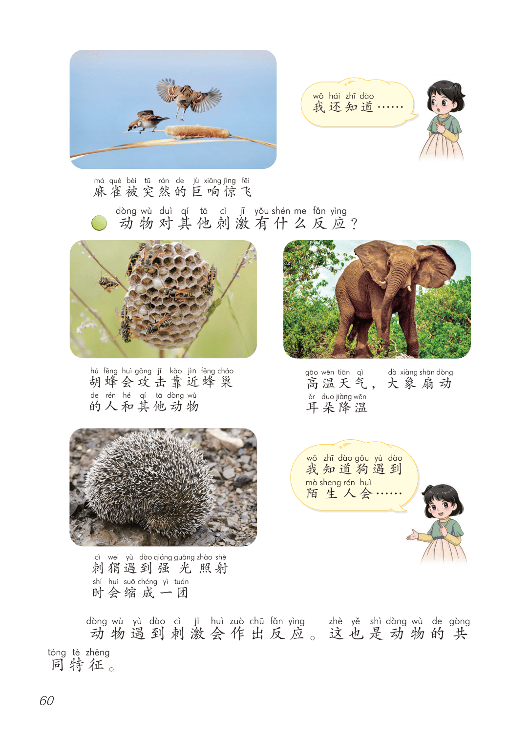 2026青島版一年級(jí)科學(xué)下冊(cè)電子課本(PDF高清版新教材)