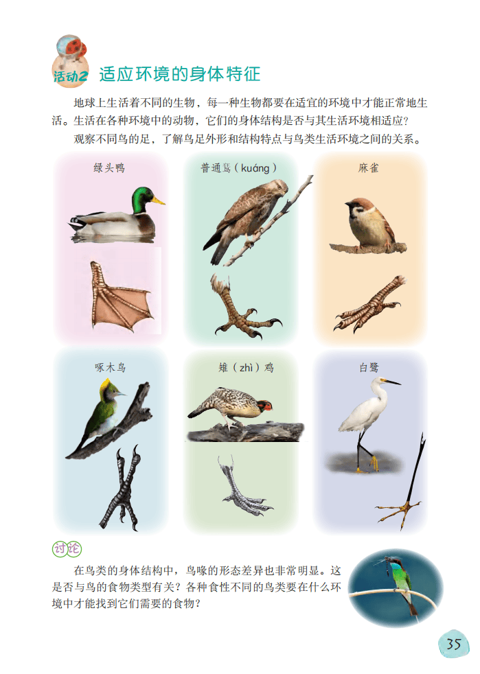 2026粵教版六年級科學下冊電子課本(PDF高清版新教材)