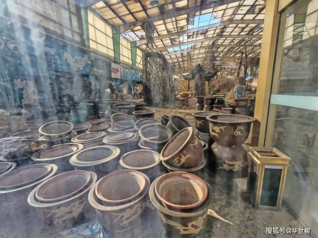 記錄德州：探秘德州曾經(jīng)最火的旅游勝地——大雁島，還有東山再起的機(jī)會(huì)嗎？