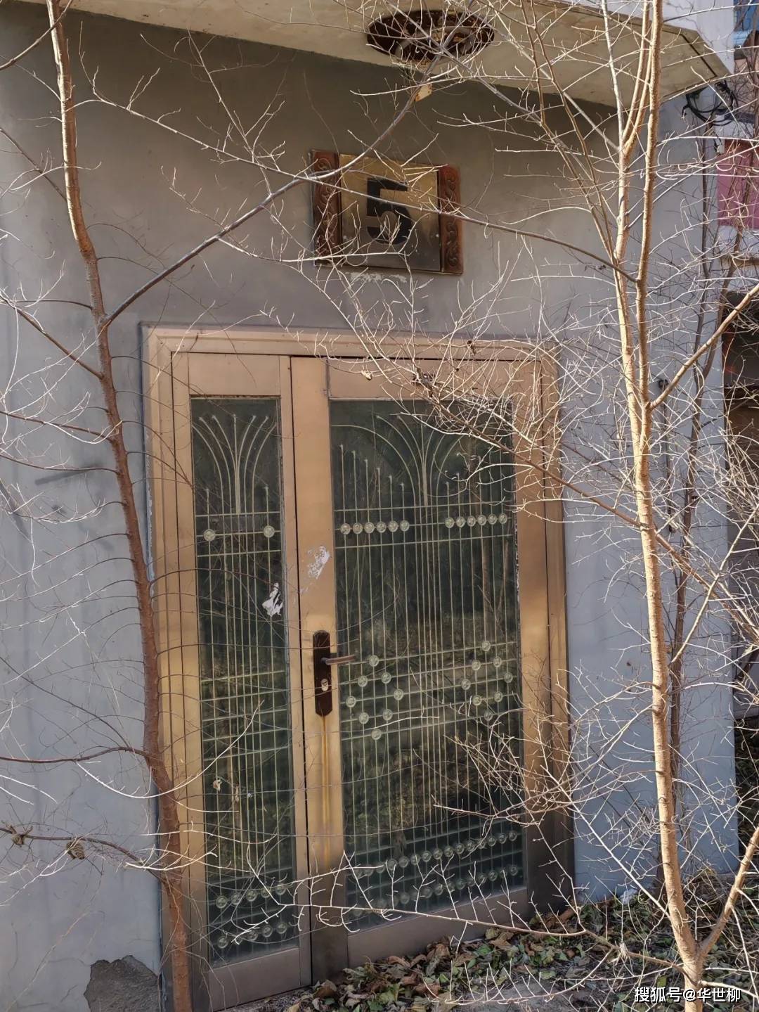 記錄德州：探秘德州曾經(jīng)最火的旅游勝地——大雁島，還有東山再起的機(jī)會(huì)嗎？