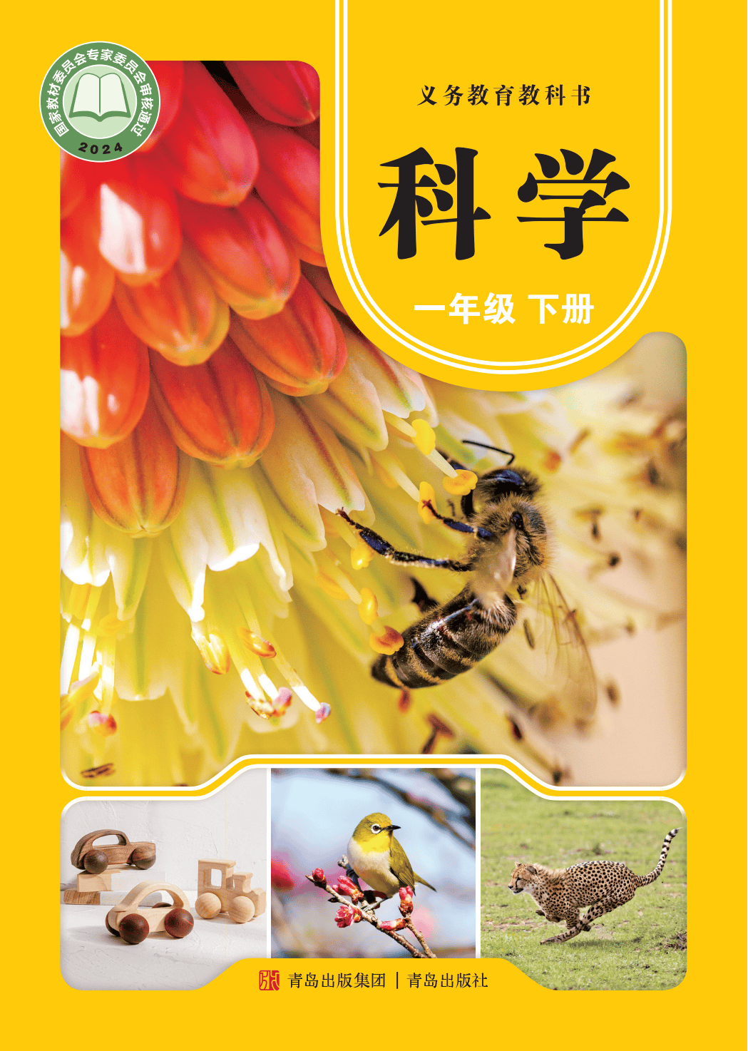 2026青島版一年級科學下冊電子課本(PDF高清版新教材)