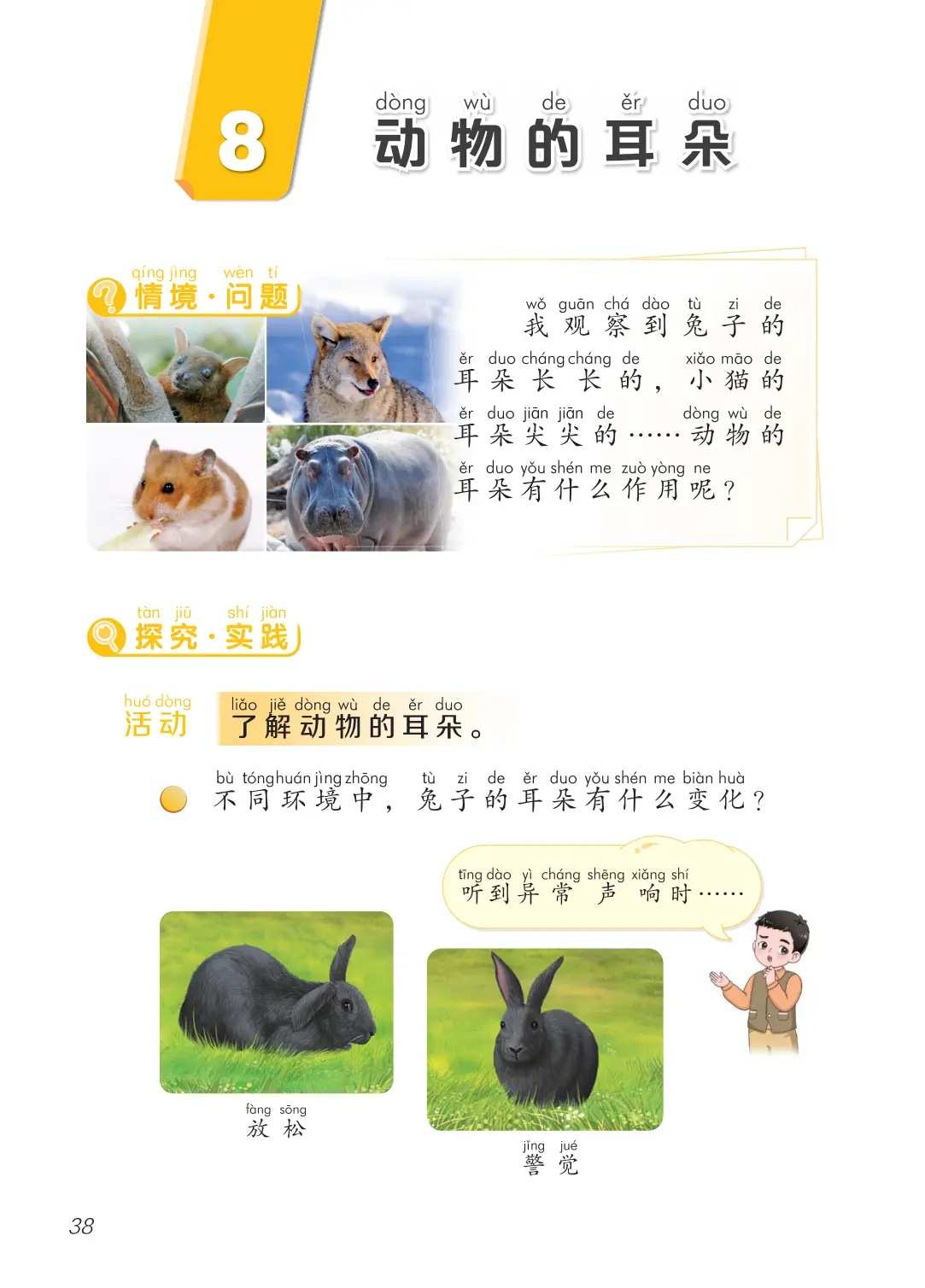 2026青島版一年級(jí)科學(xué)下冊(cè)電子課本(PDF高清版新教材)