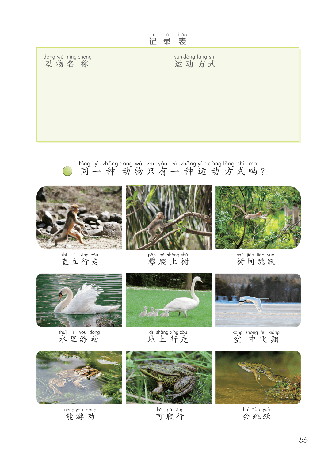 2026青島版一年級(jí)科學(xué)下冊(cè)電子課本(PDF高清版新教材)