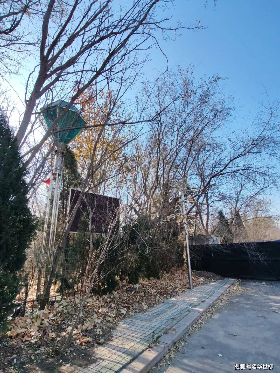 記錄德州：探秘德州曾經(jīng)最火的旅游勝地——大雁島，還有東山再起的機(jī)會(huì)嗎？