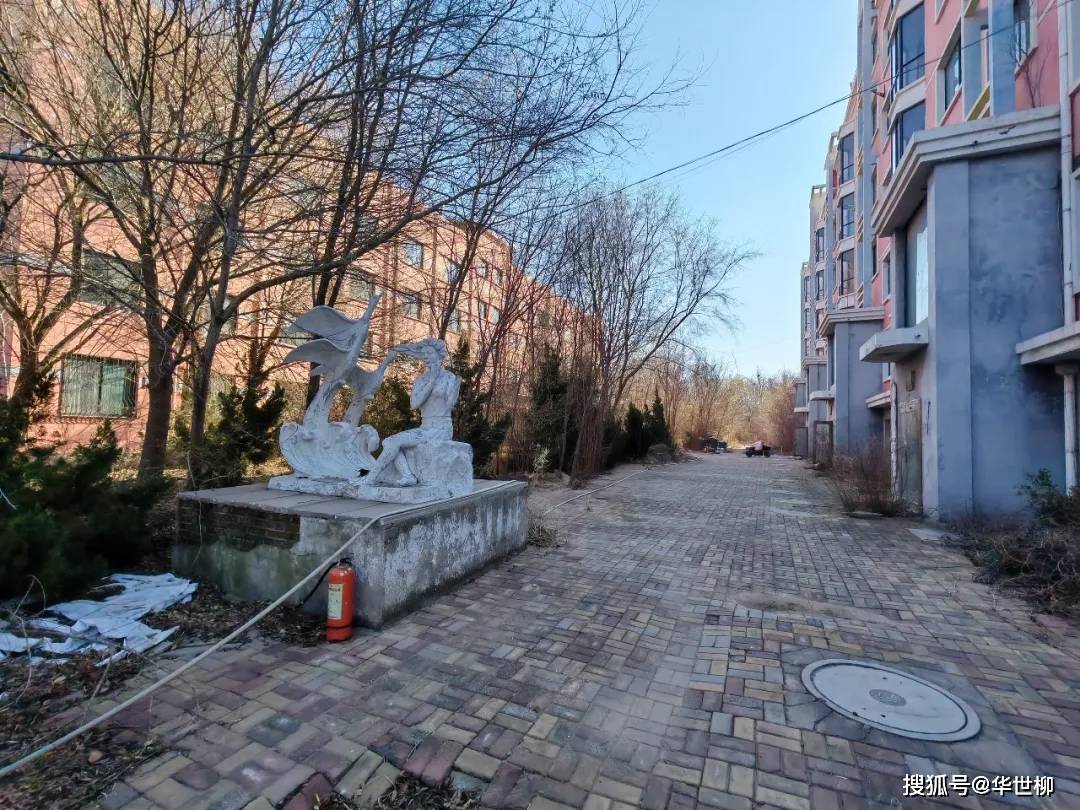 記錄德州：探秘德州曾經(jīng)最火的旅游勝地——大雁島，還有東山再起的機(jī)會(huì)嗎？