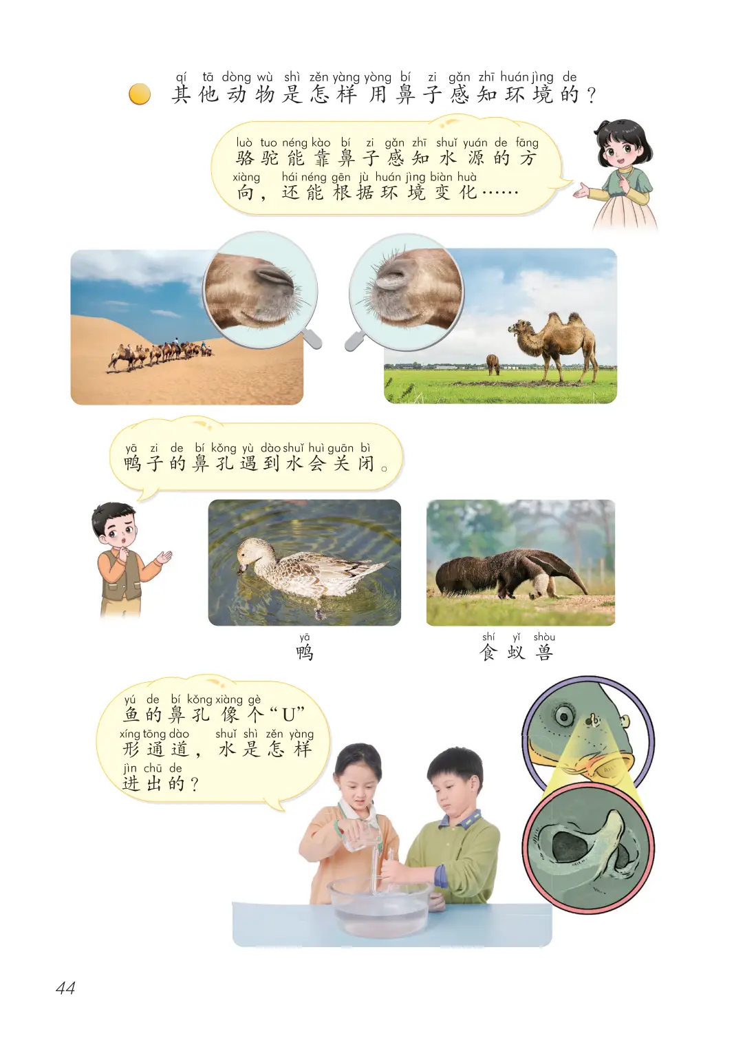 2026青島版一年級(jí)科學(xué)下冊(cè)電子課本(PDF高清版新教材)