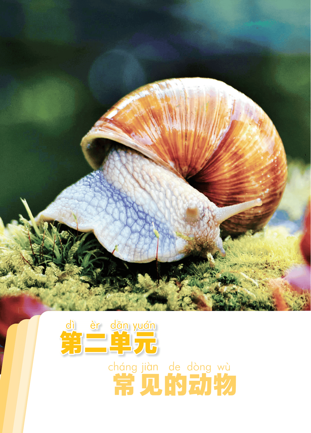 2026青島版一年級(jí)科學(xué)下冊(cè)電子課本(PDF高清版新教材)