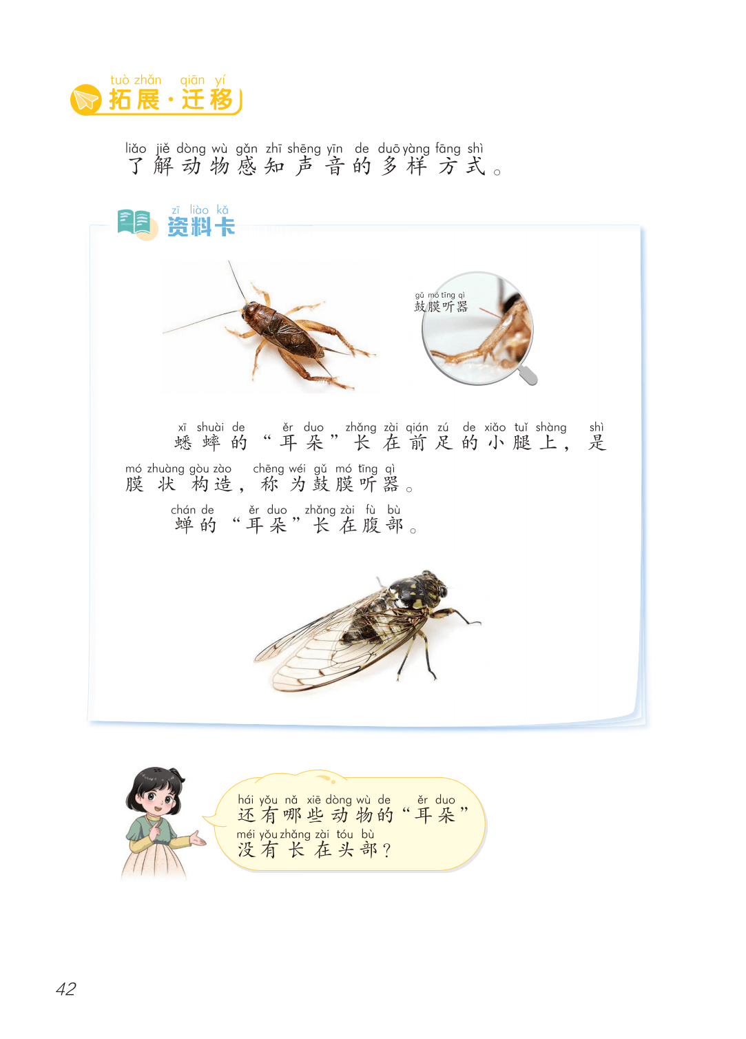 2026青島版一年級(jí)科學(xué)下冊(cè)電子課本(PDF高清版新教材)