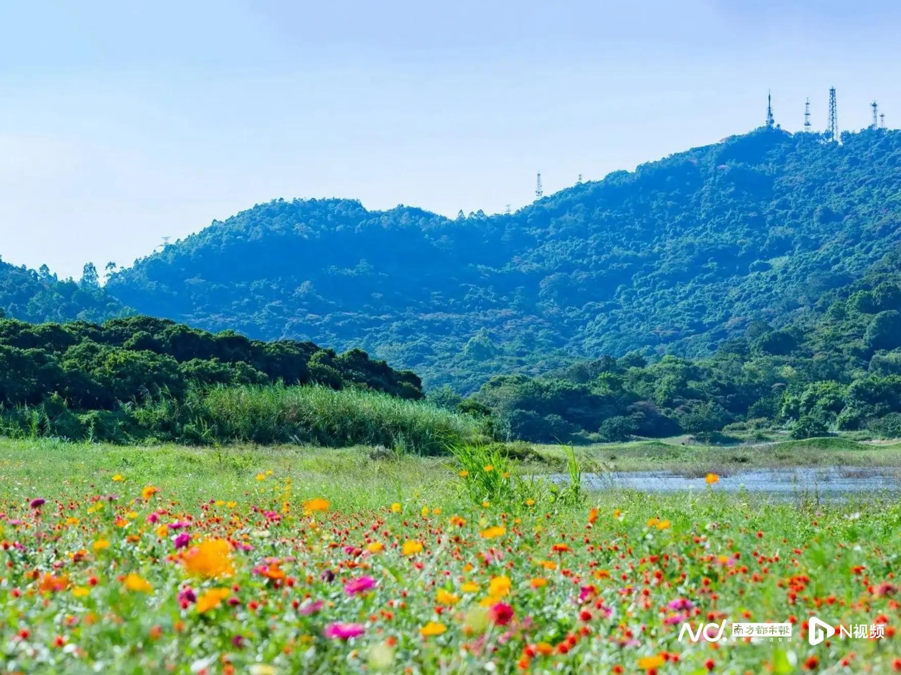 不止看燈！大灣區(qū)燈會周邊漫游指南來了，吃住游攻略一鍵收藏
