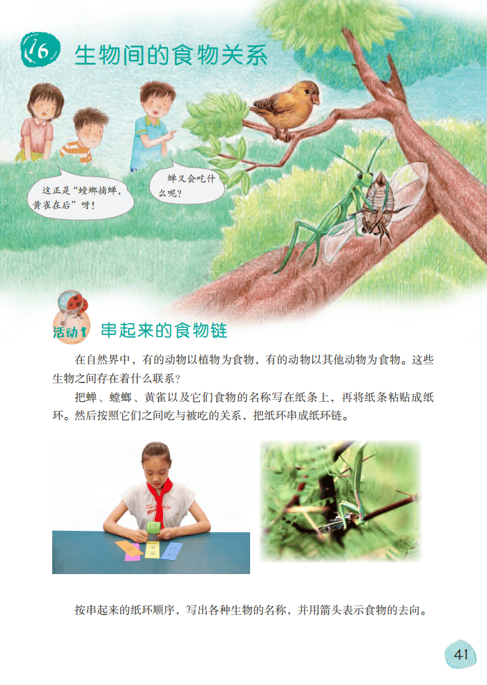 2026粵教版六年級科學下冊電子課本(PDF高清版新教材)