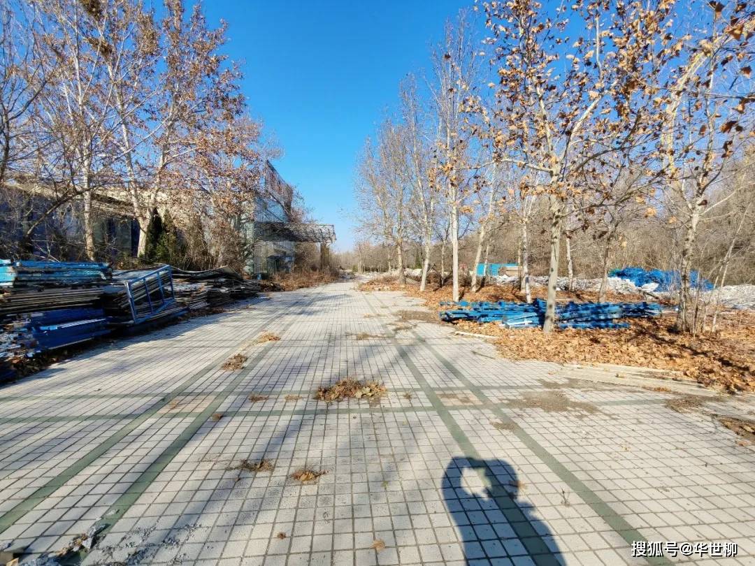 記錄德州：探秘德州曾經(jīng)最火的旅游勝地——大雁島，還有東山再起的機(jī)會(huì)嗎？