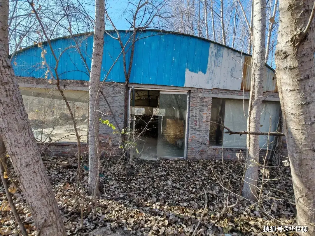 記錄德州：探秘德州曾經(jīng)最火的旅游勝地——大雁島，還有東山再起的機(jī)會(huì)嗎？