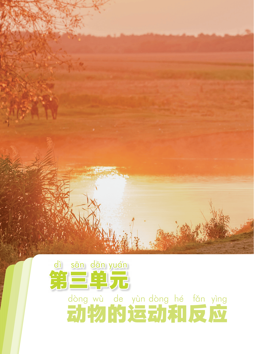 2026青島版一年級(jí)科學(xué)下冊(cè)電子課本(PDF高清版新教材)