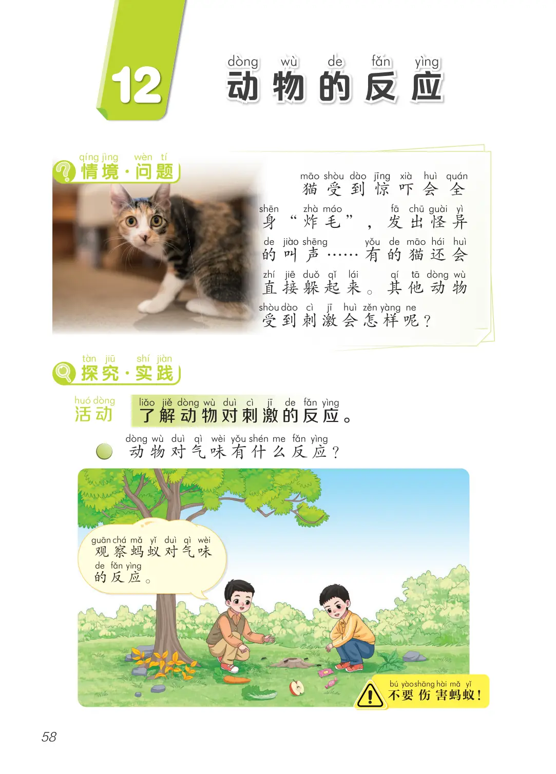 2026青島版一年級(jí)科學(xué)下冊(cè)電子課本(PDF高清版新教材)