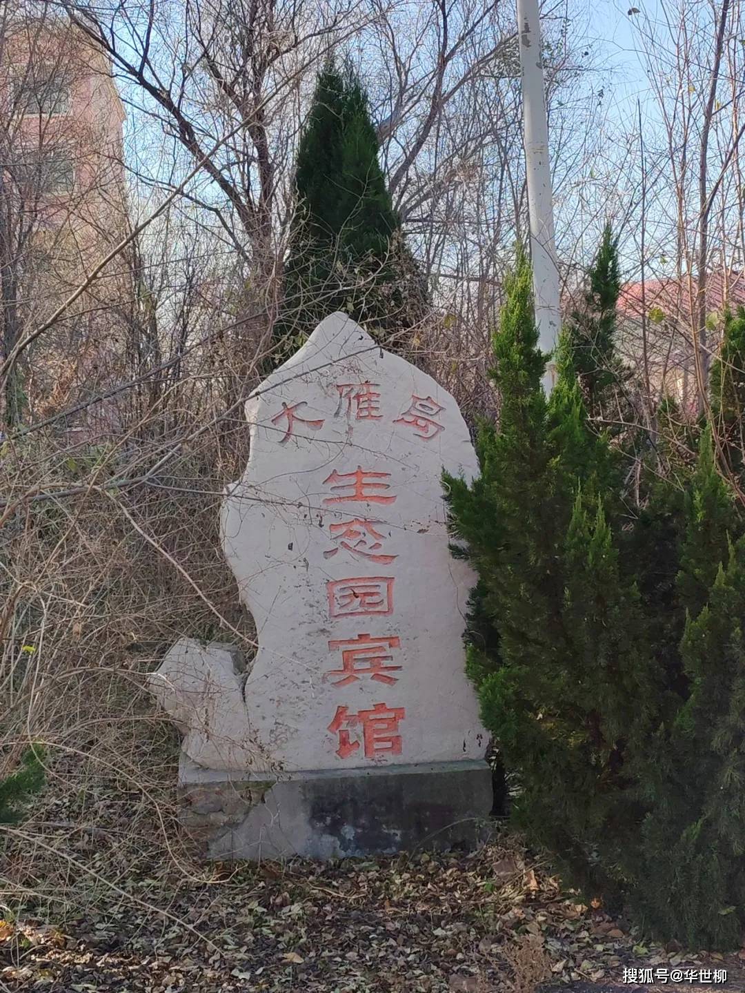 記錄德州：探秘德州曾經(jīng)最火的旅游勝地——大雁島，還有東山再起的機(jī)會(huì)嗎？