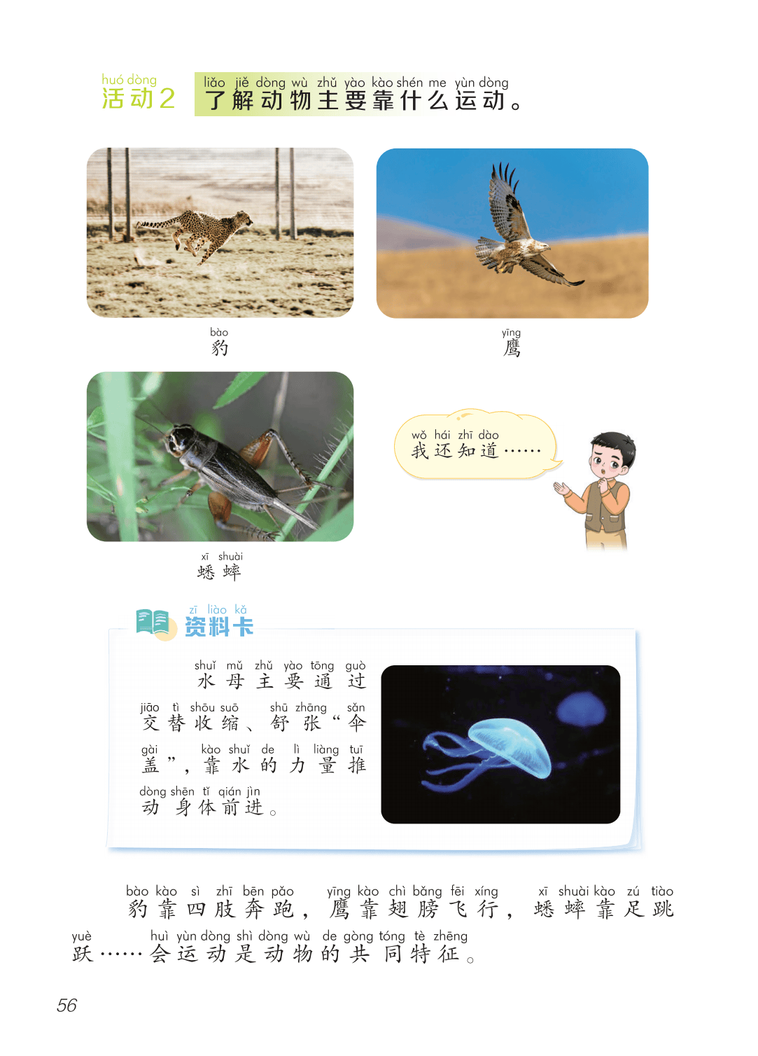 2026青島版一年級(jí)科學(xué)下冊(cè)電子課本(PDF高清版新教材)