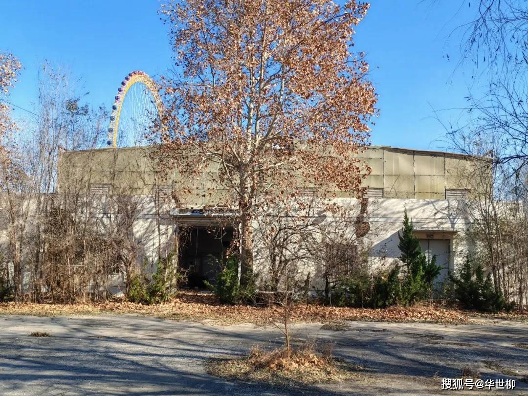 記錄德州：探秘德州曾經(jīng)最火的旅游勝地——大雁島，還有東山再起的機(jī)會(huì)嗎？