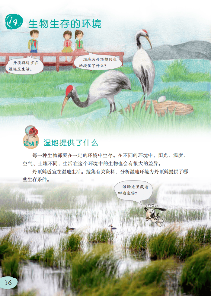 2026粵教版六年級科學下冊電子課本(PDF高清版新教材)