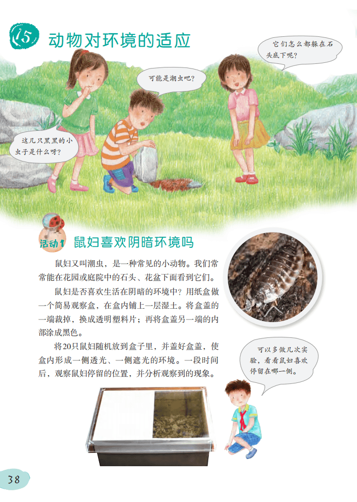 2026粵教版六年級科學下冊電子課本(PDF高清版新教材)