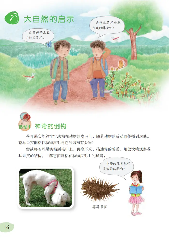 2026粵教版六年級科學下冊電子課本(PDF高清版新教材)