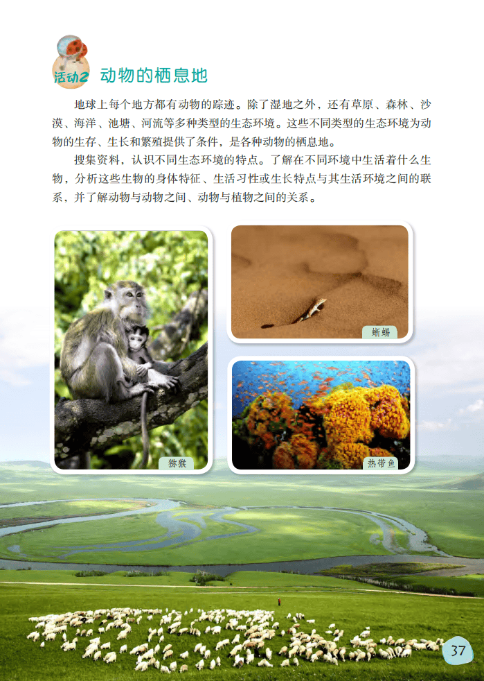 2026粵教版六年級科學下冊電子課本(PDF高清版新教材)