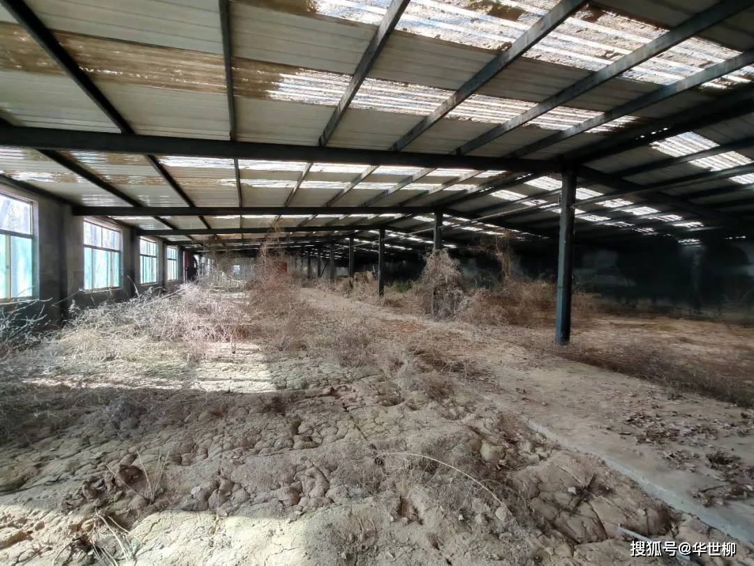 記錄德州：探秘德州曾經(jīng)最火的旅游勝地——大雁島，還有東山再起的機(jī)會(huì)嗎？