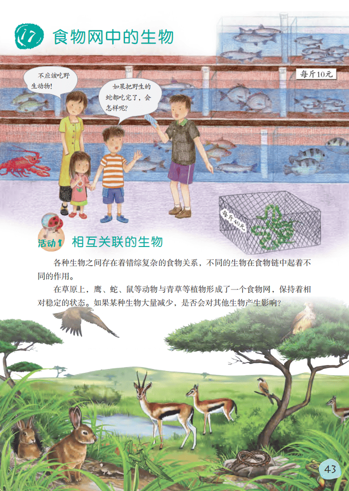 2026粵教版六年級科學下冊電子課本(PDF高清版新教材)