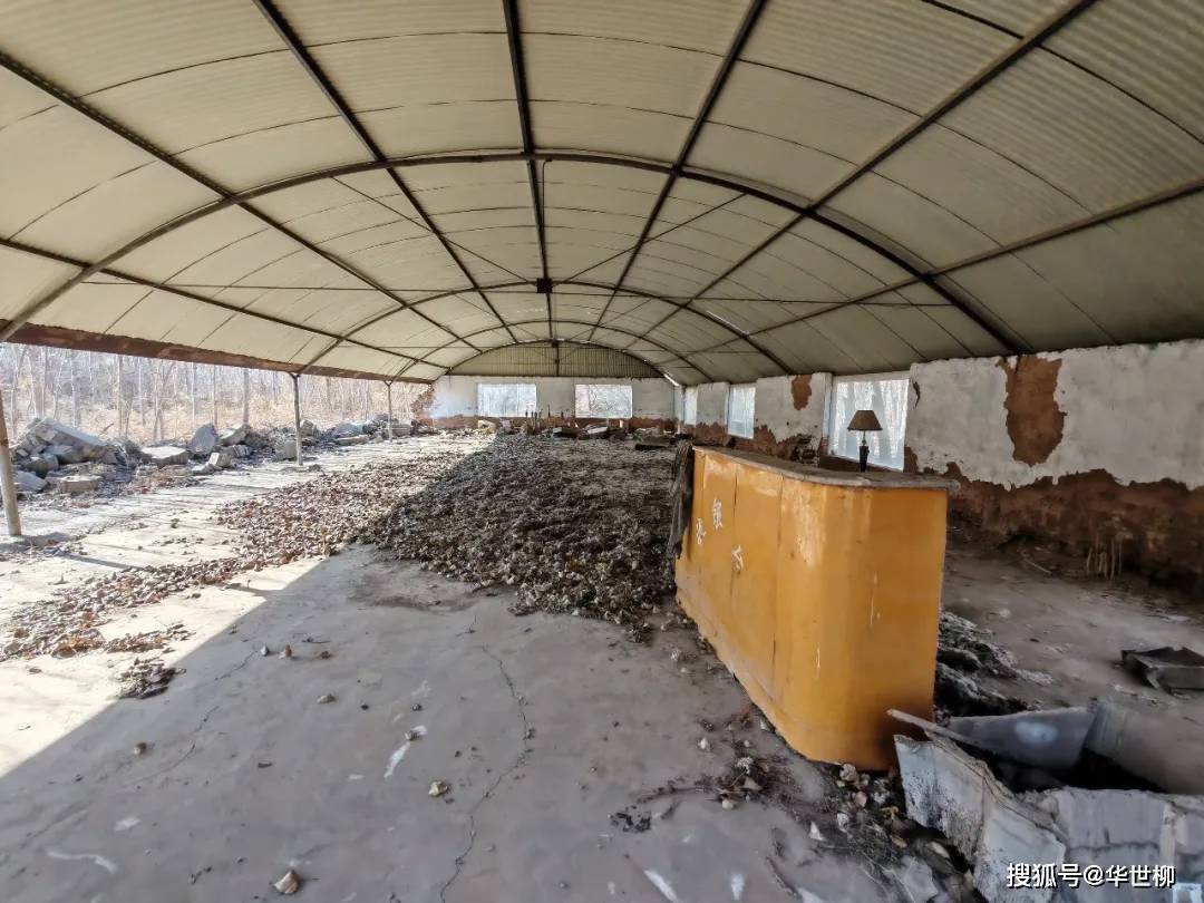 記錄德州：探秘德州曾經(jīng)最火的旅游勝地——大雁島，還有東山再起的機(jī)會(huì)嗎？