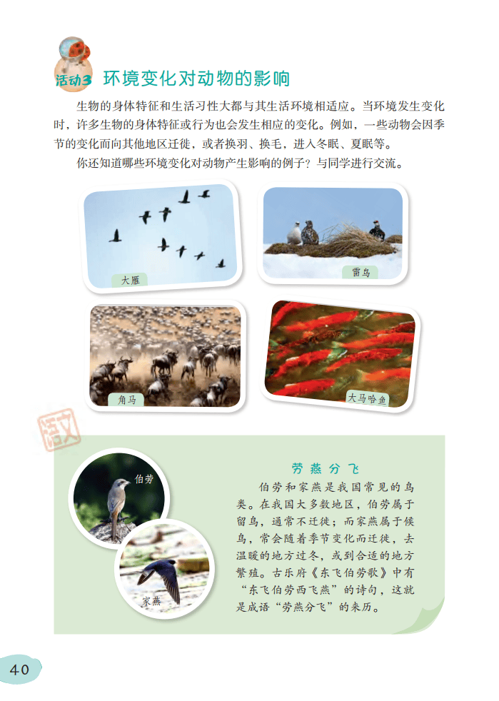 2026粵教版六年級科學下冊電子課本(PDF高清版新教材)