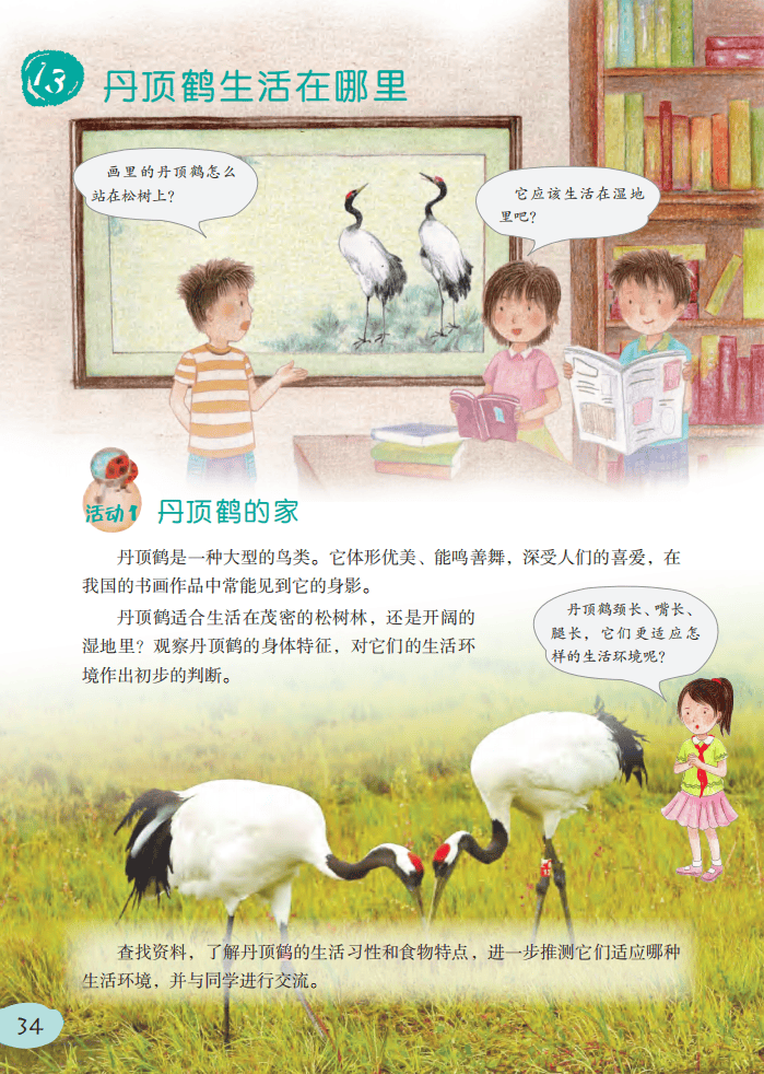 2026粵教版六年級科學下冊電子課本(PDF高清版新教材)