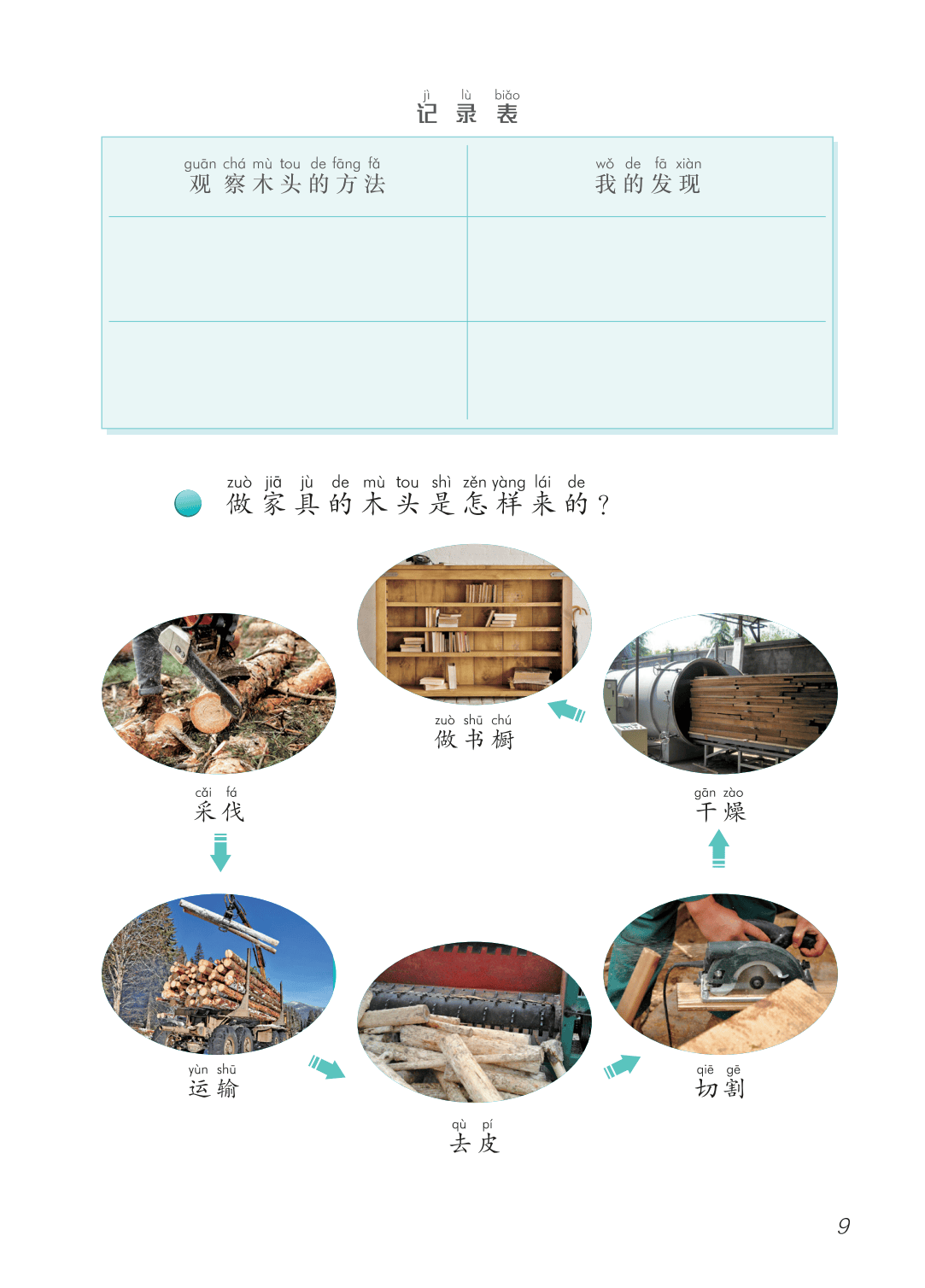 2026青島版一年級(jí)科學(xué)下冊(cè)電子課本(PDF高清版新教材)
