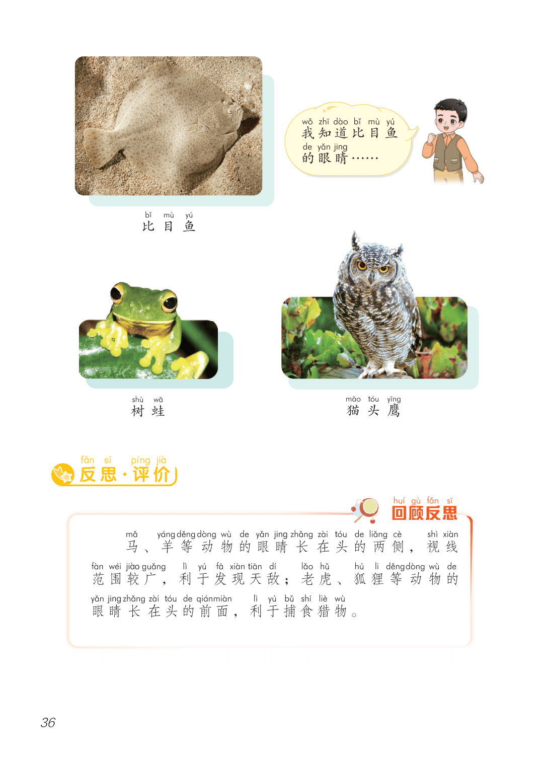 2026青島版一年級(jí)科學(xué)下冊(cè)電子課本(PDF高清版新教材)