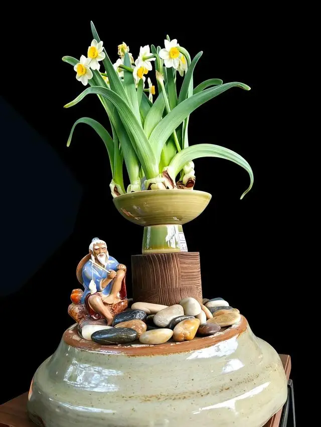 2026年新春水仙花展暨水仙雕刻藝術(shù)展亮相濟南公園