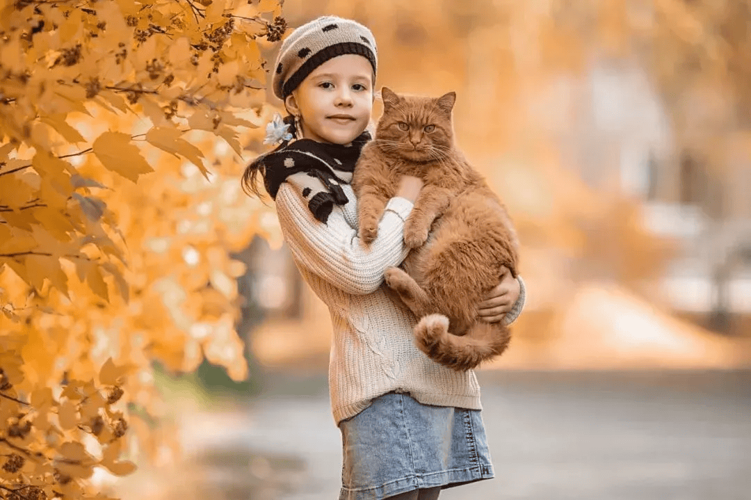 假期刷10部視頻，輕松記牢 1000 個(gè)單詞｜建議收藏