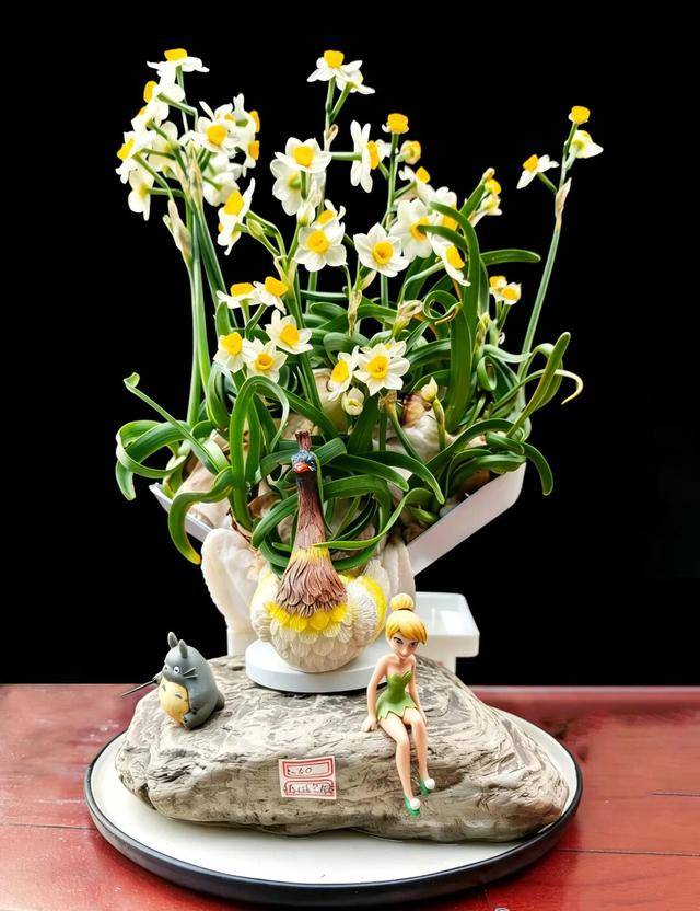 2026年新春水仙花展暨水仙雕刻藝術(shù)展亮相濟南公園